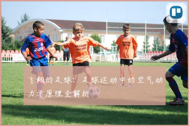 飞翔的足球：足球运动中的空气动力学原理全解析
