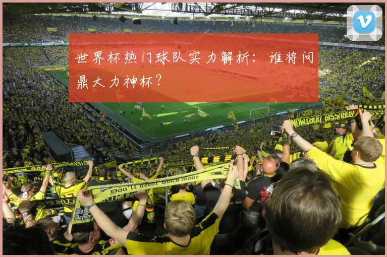 世界杯热门球队实力解析：谁将问鼎大力神杯？